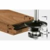 FESTOOL FRÄSER Festool Fraise Contre-profil Pour Languette HW S8 D43/21 A/KL-491130 2 FESTOOL FRÄSER Festool Fraise Contre-profil Pour Languette HW S8 D43/21 A/KL-491130 -Toupie Soldes 1107885 1